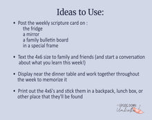 Load image into Gallery viewer, Come, Follow Me 2025 Doctrine and Covenants Scripture Cards