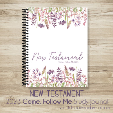 new testament study guide for young women come follow me 2023